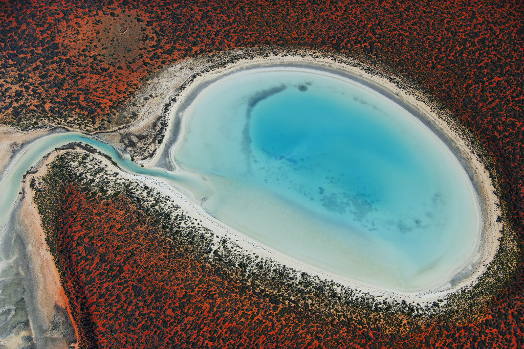 Aerial earth and water texture