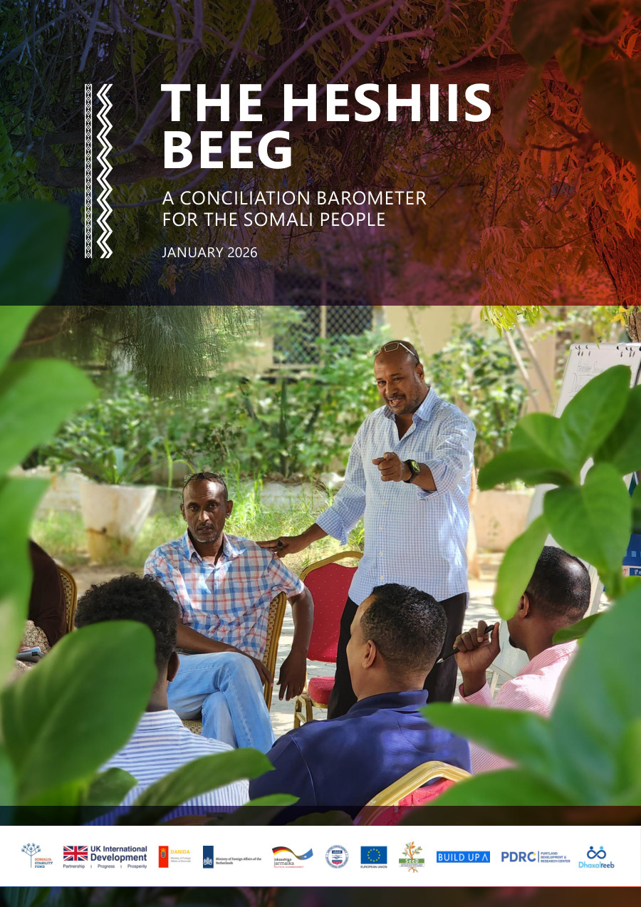Cover of The Heshiis Beeg, showing a community discussion outdoors.